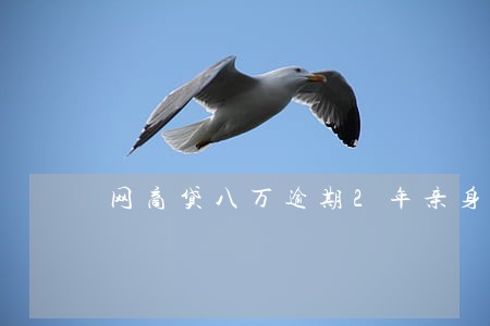 网商贷八万逾期2年亲身经历 网商贷八万逾期2年亲身经历