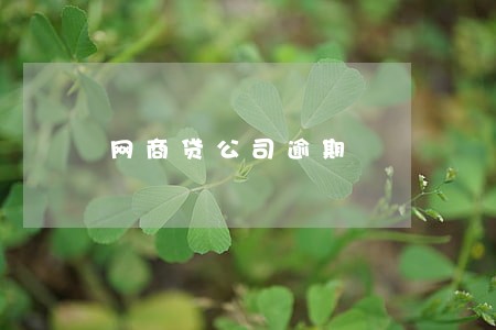 网商贷公司逾期 网商贷公司逾期