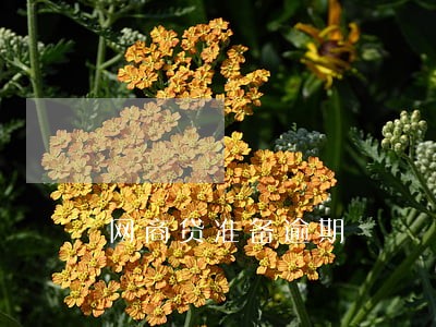 网商贷准备逾期 网商贷准备逾期