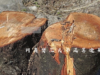 网商贷几天不还算逾期 网商贷几天不还算逾期