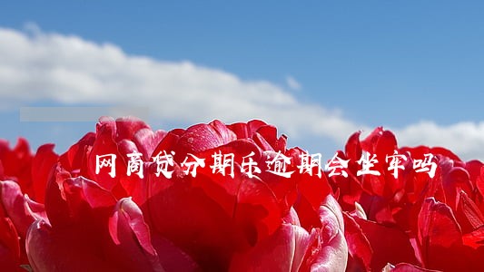 网商贷分期乐逾期会坐牢吗 网商贷分期乐逾期会坐牢吗