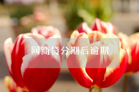 网商贷分期后逾期 网商贷分期后逾期