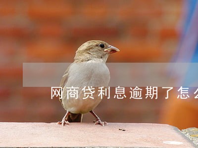 网商贷利息逾期了怎么办 网商贷利息逾期了怎么办