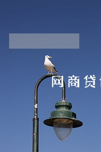 网商贷协商36期算逾期吗 网商贷协商36期算逾期吗