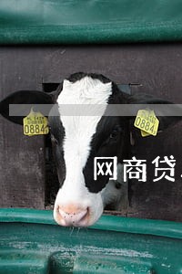 网商贷单期逾期还两个月 网商贷单期逾期还两个月