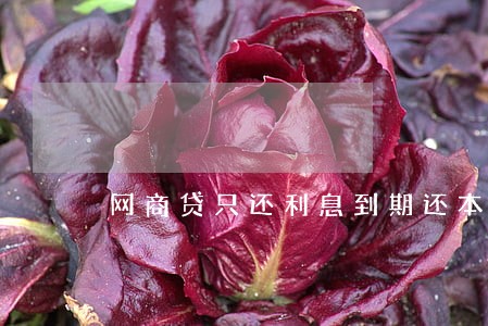 网商贷只还利息到期还本金 网商贷只还利息到期还本金