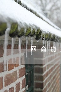 网商贷只还本金 网商贷只还本金