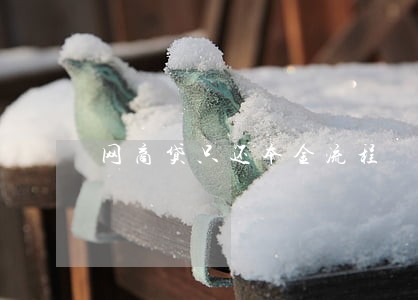 网商贷只还本金流程 网商贷只还本金流程