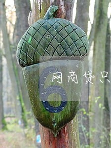 网商贷只还逾期可以吗 网商贷只还逾期可以吗