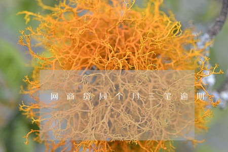网商贷同个月三笔逾期 网商贷同个月三笔逾期
