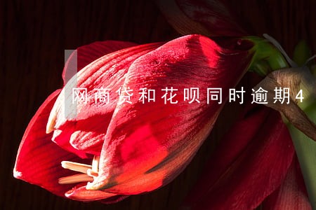 网商贷和花呗同时逾期4个月