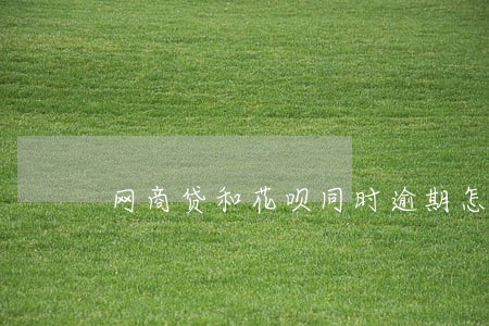 网商贷和花呗同时逾期怎么还 网商贷和花呗同时逾期怎么还