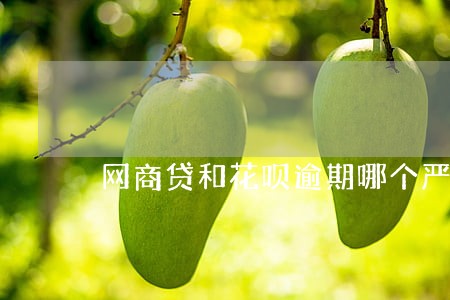 网商贷和花呗逾期哪个严重 网商贷和花呗逾期哪个严重