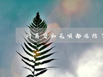 网商贷和花呗都冻结了又没逾期 网商贷和花呗都冻结了又没逾期