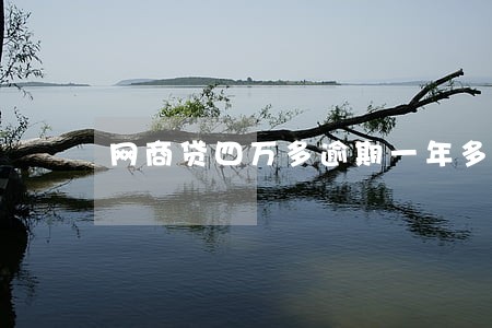 网商贷四万多逾期一年多 网商贷四万多逾期一年多