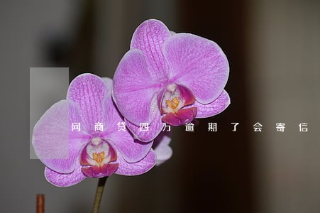 网商贷四万逾期了会寄信过来吗 网商贷四万逾期了会寄信过来吗