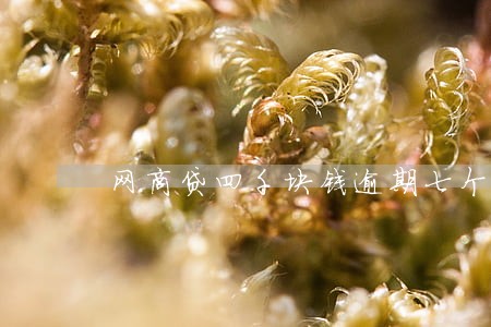网商贷四千块钱逾期七个月了 网商贷四千块钱逾期七个月了