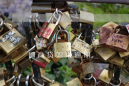 网商贷如果逾期 网商贷如果逾期