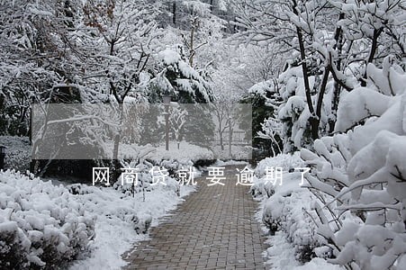 网商贷就要逾期了 网商贷就要逾期了
