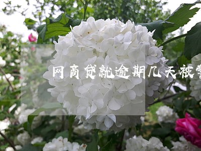 网商贷就逾期几天被警察抓走 网商贷就逾期几天被警察抓走