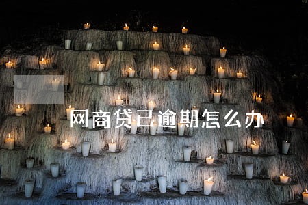 网商贷已逾期怎么办 网商贷已逾期怎么办