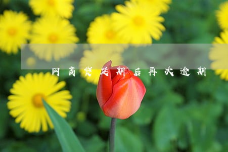 网商贷延期后再次逾期 网商贷延期后再次逾期