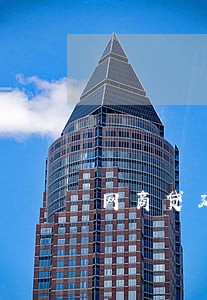 网商贷延期还款可以只还本金吗