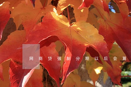 网商贷强制分期以后会算逾期吗 网商贷强制分期以后会算逾期吗