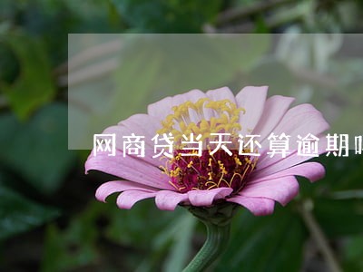 网商贷当天还算逾期吗 网商贷当天还算逾期吗