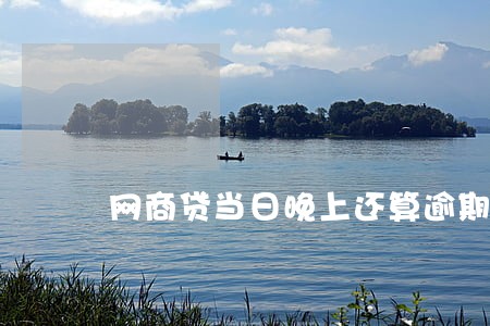 网商贷当日晚上还算逾期吗 网商贷当日晚上还算逾期吗