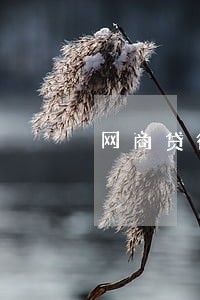 网商贷微粒贷有逾期三天的记录 网商贷微粒贷有逾期三天的记录
