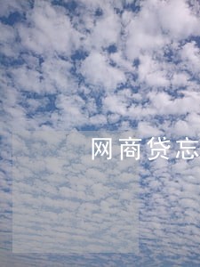 网商贷忘还逾期一天 网商贷忘还逾期一天