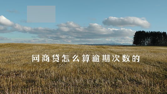 网商贷怎么算逾期次数的 网商贷怎么算逾期次数的
