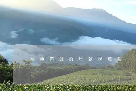 网商贷提前还款没逾期 网商贷提前还款没逾期