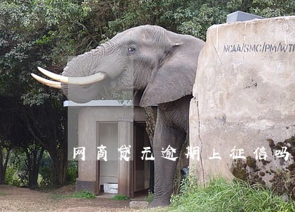 网商贷无逾期上征信吗