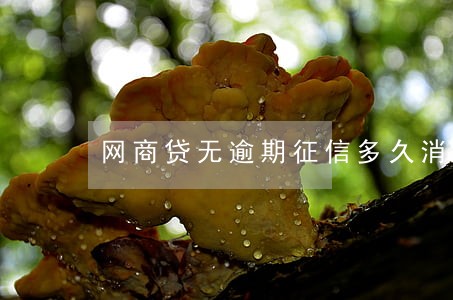 网商贷无逾期征信多久消除 网商贷无逾期征信多久消除