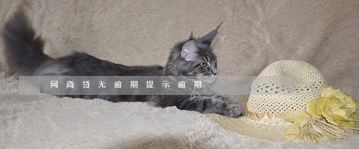 网商贷无逾期提示逾期 网商贷无逾期提示逾期