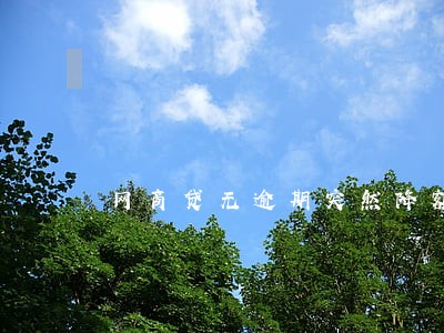 网商贷无逾期突然降额度了 网商贷无逾期突然降额度了
