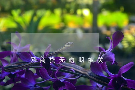 网商贷无逾期被关 网商贷无逾期被关
