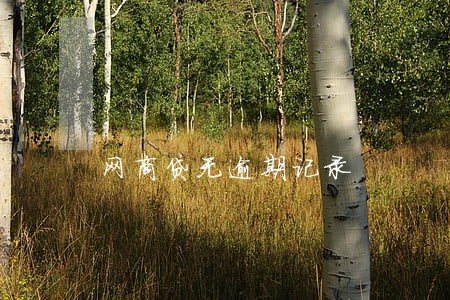 网商贷无逾期记录 网商贷无逾期记录