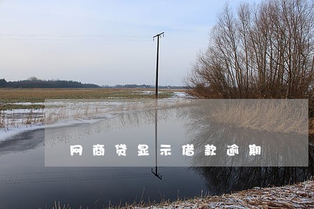 网商贷显示借款逾期 网商贷显示借款逾期