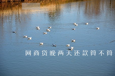 网商贷晚两天还款算不算逾期呢 网商贷晚两天还款算不算逾期呢