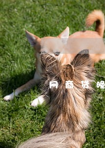 网商贷晚了两个小时算逾期吗 网商贷晚了两个小时算逾期吗