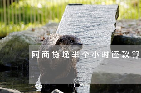 网商贷晚半个小时还款算逾期吗 网商贷晚半个小时还款算逾期吗