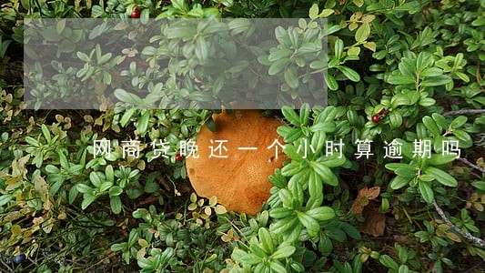 网商贷晚还一个小时算逾期吗 网商贷晚还一个小时算逾期吗