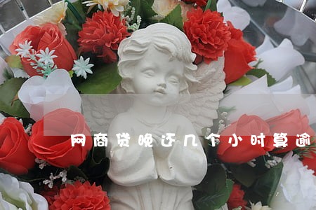 网商贷晚还几个小时算逾期吗 网商贷晚还几个小时算逾期吗