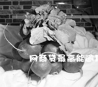 网商贷最高能逾期几天 网商贷最高能逾期几天