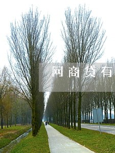 网商贷有2次逾期能做房贷吗 网商贷有2次逾期能做房贷吗
