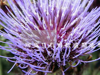 网商贷有借款逾期能车贷么 网商贷有借款逾期能车贷么