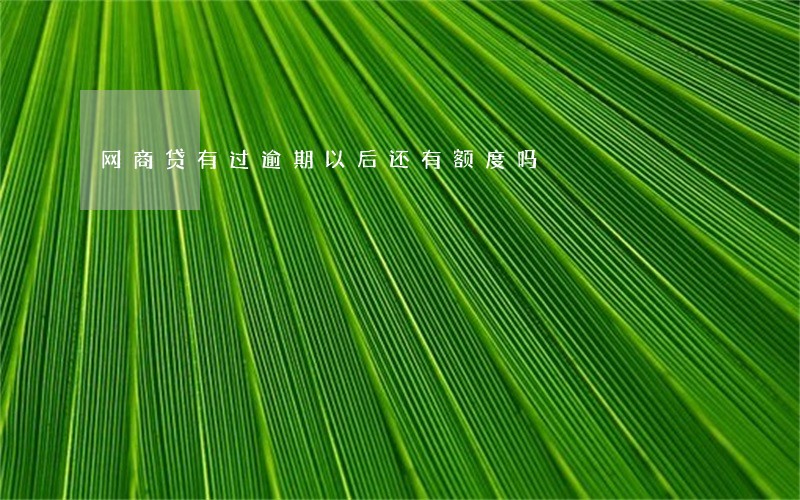 网商贷有过逾期以后还有额度吗 网商贷有过逾期以后还有额度吗